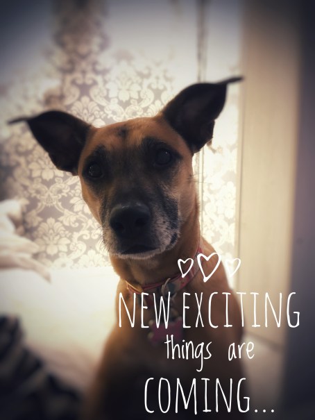 JPEG image-A6DCC993824B-1